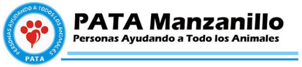 patalogo 2