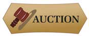 auction_auction 2
